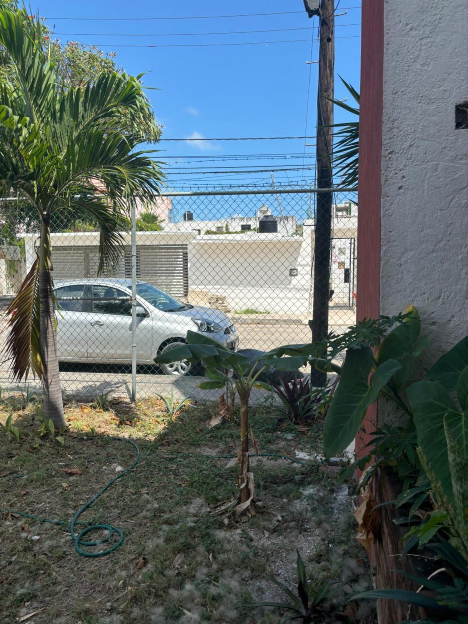 Calle Venado Centro Cancun Exterior photo